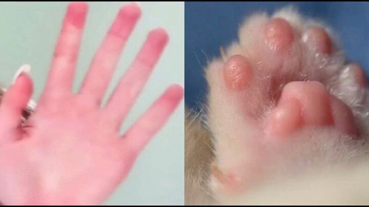 ก็ไม่มีหมาตัวไหนที่เจ๋งเท่าคิม มินจองอีกแล้ว! | ทำไมมีหมาตัวหนึ่งถึงเหมือนคนขนาดนี้นะ•ᴥ•