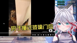 日本天然小姐姐看《狗子撞过玻璃门后》