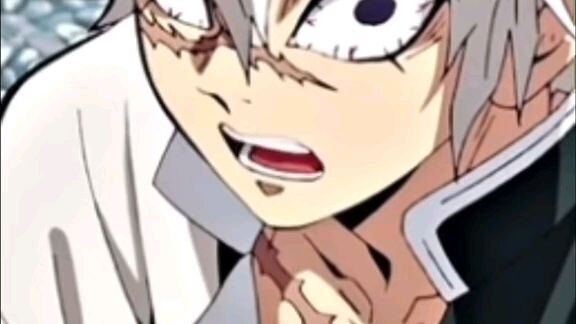 All Demon Slayer/Kimetsu no yaiba characters ages ~~