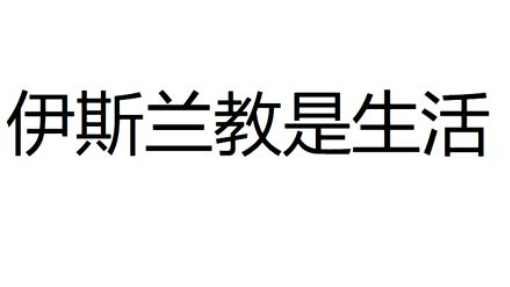 伊斯兰 复兴笋奈的价值(360P)