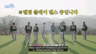 Nana BNB with Seventeen eps 4-4 (indo sub)