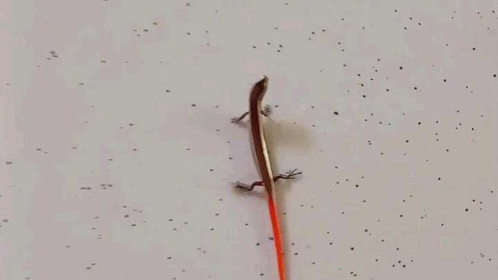 😜😜😜😜