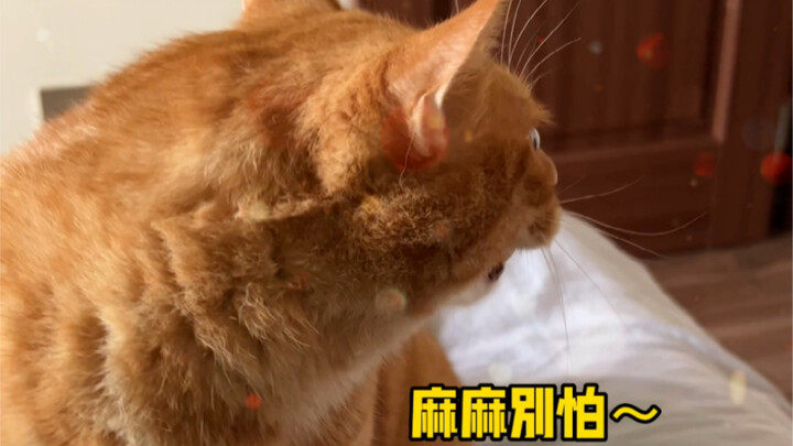 ขอบคุณที่ปกป้องฉันดีขนาดนี้