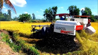 Chủ Máy Cắt KUBOTA DC 70Plus l Mới Khui Thùng Về Độ Hàm l Cắt Quá Nhanh Quá Tốc Độ