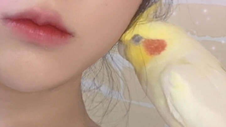 มันอยู่เป็นเพื่อนฉันแบบนี้มาตลอดสี่ชั่วโมงแล้ว