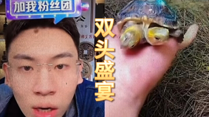 真怕双击翻转人也是双头的