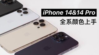 Seri iPhone 14 & 14 Pro penuh warna "Ozawa": Warna mana yang paling Anda sukai?
