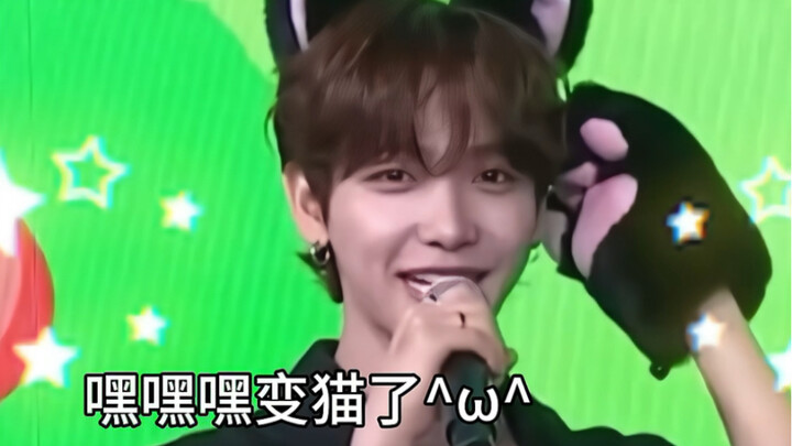 【Min Jae-hyun】Anh ấy siêu thích! Cuối cùng đã mặc bộ đồ mèo rồi! Cả hội đứng dậy chúc mừng thẻ trải 