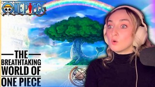 Wait, Should I watch One Piece?! (REACTION) The Breathtaking World of One Piece