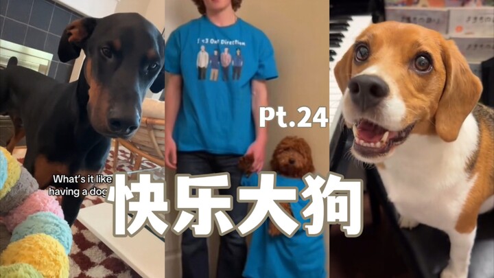 Happy Big Dog Compilation Pt. 24