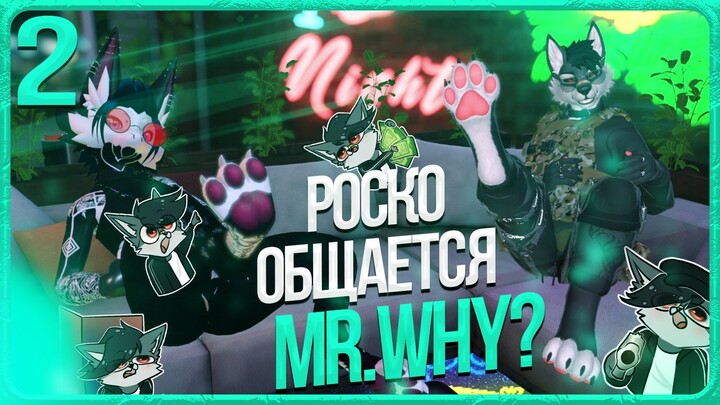 🐺 ОБЩЕНИЕ РОСКО С MR.WHY? | ЧАСТЬ 2