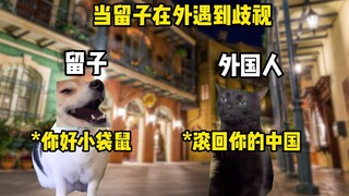 Ketika Liuzi mengalami diskriminasi di luar negeri, beginilah rasanya