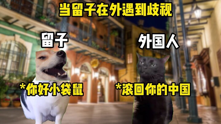 当留子在外遇到歧视be like