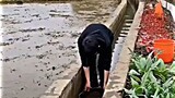 how to catch fish fast🤣