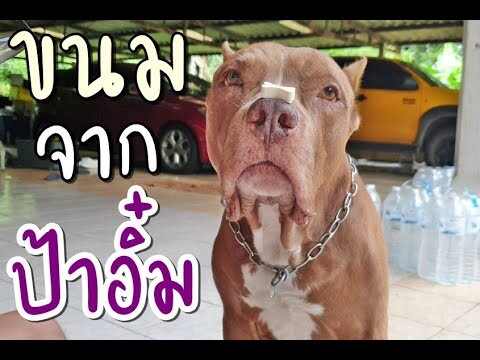 ขนมจากป้าอิ๋ม