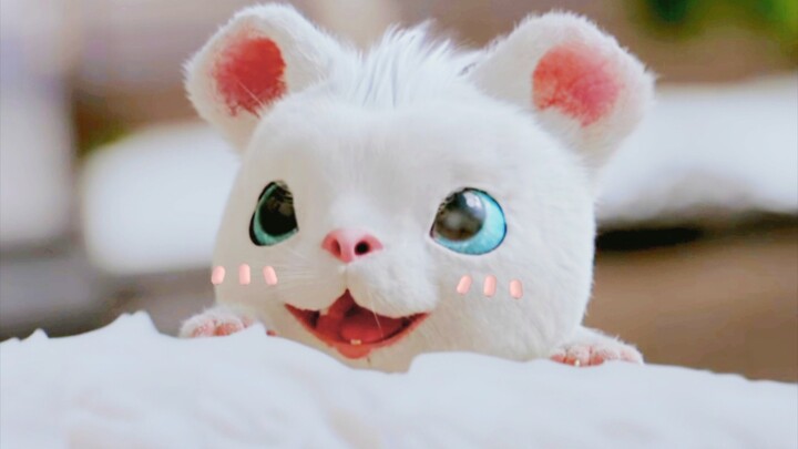 I don’t want to be obsessed with him either, but he only has two tiny baby teeth!!