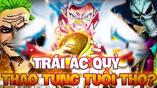 TRẺ MÃI KHÔNG GIÀ?! | TRÁI ÁC QUỶ CHO PHÉP THAO TÚNG TUỔI THỌ TRONG ONE PIECE