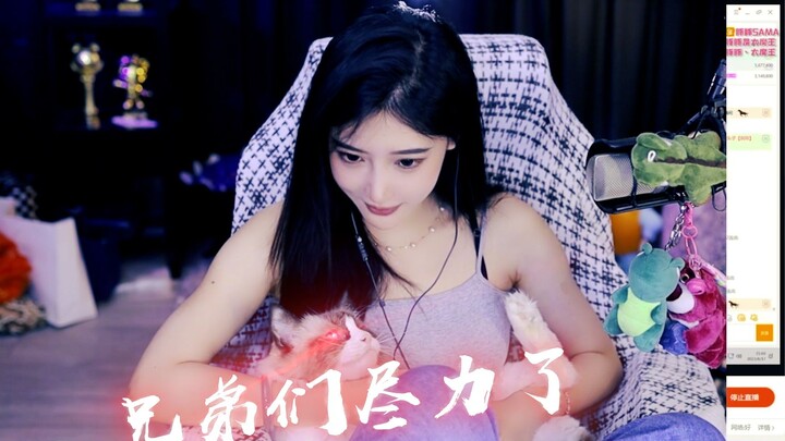 【Chị Đồn Tử】Mèo của tôi hình như đã nhận tiền của các bạn rồi!