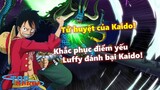 Tử huyệt của Kaido là đây! Luffy phải khắc phục điểm yếu này để đánh bại Kaido!