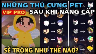 PLAY TOGETHER | Những Thú Cưng Pet Sau Khi Nâng Cấp Sẽ Trông Như Thế Nào? #playtogether