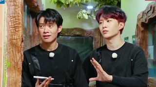 Ngụy Đại Huân thật sự rất thích thú! Thu thập dấu vân tay của khỉ đột, rùa và thằn lằn