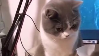 ผู้หญิงไม่กินสตรอเบอร์รี่ของคุณสองคนเหรอ?
