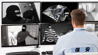 The security guard at home isn't doing his job, so I have to do it myself!