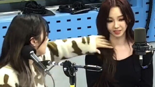 姐lineの头发梗起源