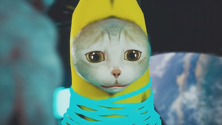 Kucing pisang diculik oleh alien!