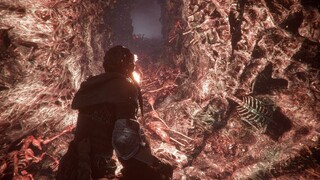 Lũ Chuột Đúng Là Man Rợ A Plague Tale: Innocence