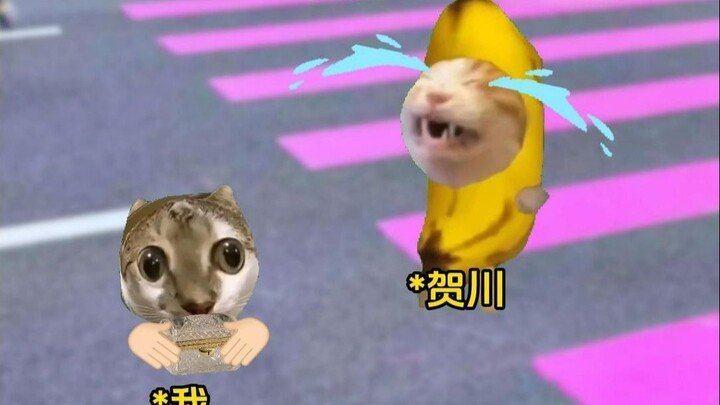 Cảm giác được bố là tỷ phú nhặt về nhà là như thế nào?