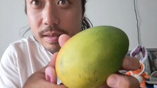 ASMR EATING SOUNDS - MANGO (6)
