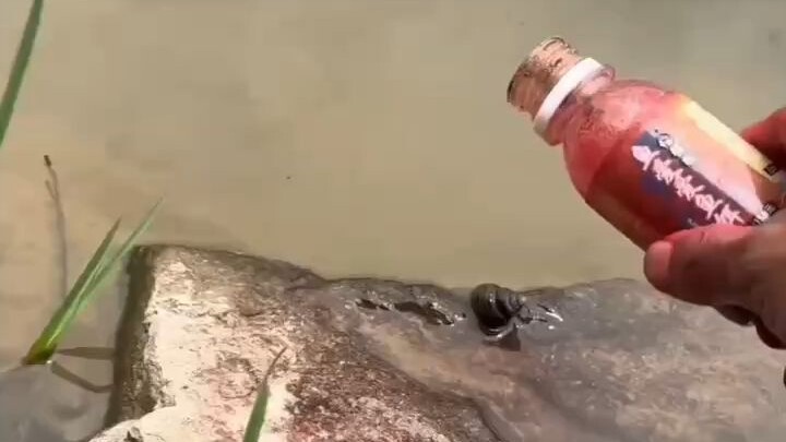 Those guys in the back are really pissing me off… 😂