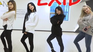 أركيولوجي - ملخص تدريبات EXID: DDD (نسخة التدريب + نسخة تغيير الأجزاء)