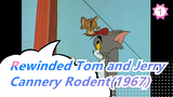 Tom and Jerry |What happens when rewinds? Cannery Rodent(1967)_1