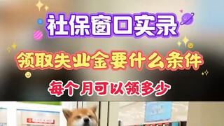 领取失业金需要什么条件