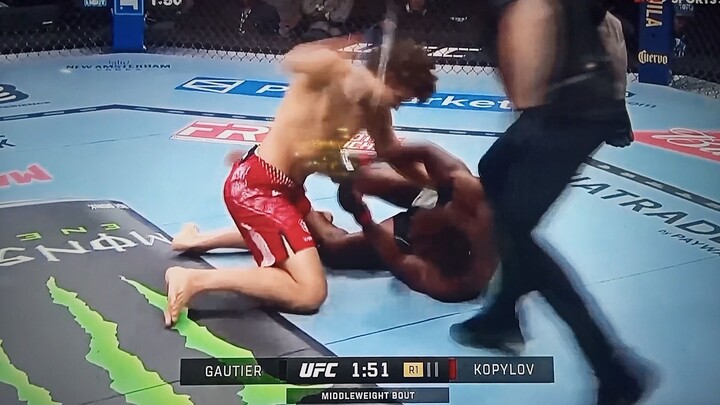 Ateba Gautier Vs Roman Kopylov UFC 332