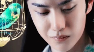 "Chim trong lồng" của Vương Tiên Tập 12. Ngôi sao độc ác, Hoàng đế Zhan tàn nhẫn + cô dâu trẻ con ng