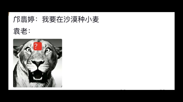 ฉันเห็นแค่ว่าข้อสอบพันธุศาสตร์ชีววิทยาของฉันกำลังงอกเนื้อและเลือดอย่างบ้าคลั่ง