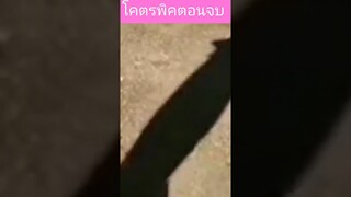 ตอนจบโคตรพิค  #เบาสมอง