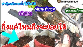 กิ่งไม้ ขนาดไหน? ที่ใช้ย่อยเป็นปุ๋ยหมักได้ เท่าซุง เท่าแขน หรือเท่าตะเกียบ