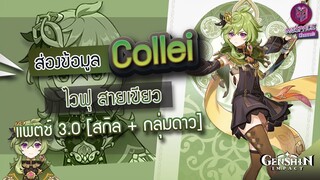 Genshin Impact : ส่องข้อมูล Collei ไวฟุสาว สายเขียว ✦ สกิล + กลุ่มดาว [Patch 3.0]
