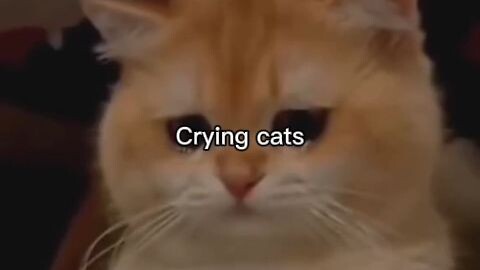 I'm gonna cry 😭😭😭: (Edit by Baby_TV)