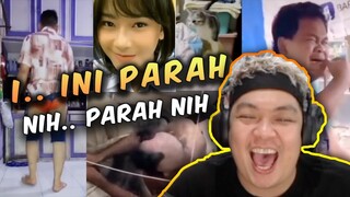 KUCING KESELEO BIKIN NGAKAK!! - REACTION BANGPEN