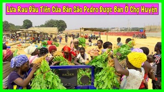 Linh Philip || Thành Quả Nông Nghiệp Đầu Tiên Của Vườn Nông Nghiệp Được Bán Tại Chợ Huyện