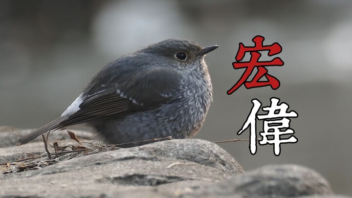 Saluran Air Megah! Saluran Air Megah! Saluran Air Megah! Saluran Air Megah! Saluran Air Megah! Salur