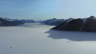 [Tập 3 - Thuyết Minh] Cuộc sống hoang dã - Life (2009) S01E03: Mammals