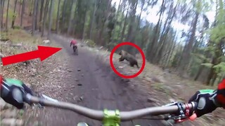 These bikers Were Attacked By a BEAR - Then This happened...