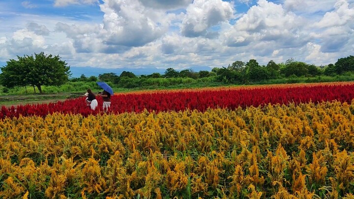 Bukid Amara Davao City