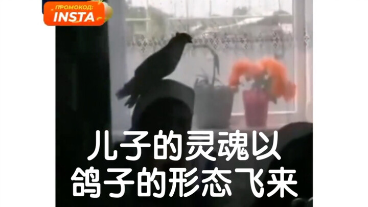 The son’s soul flies back in the form of a dove, alighting on his mother’s head to bid her farewell.